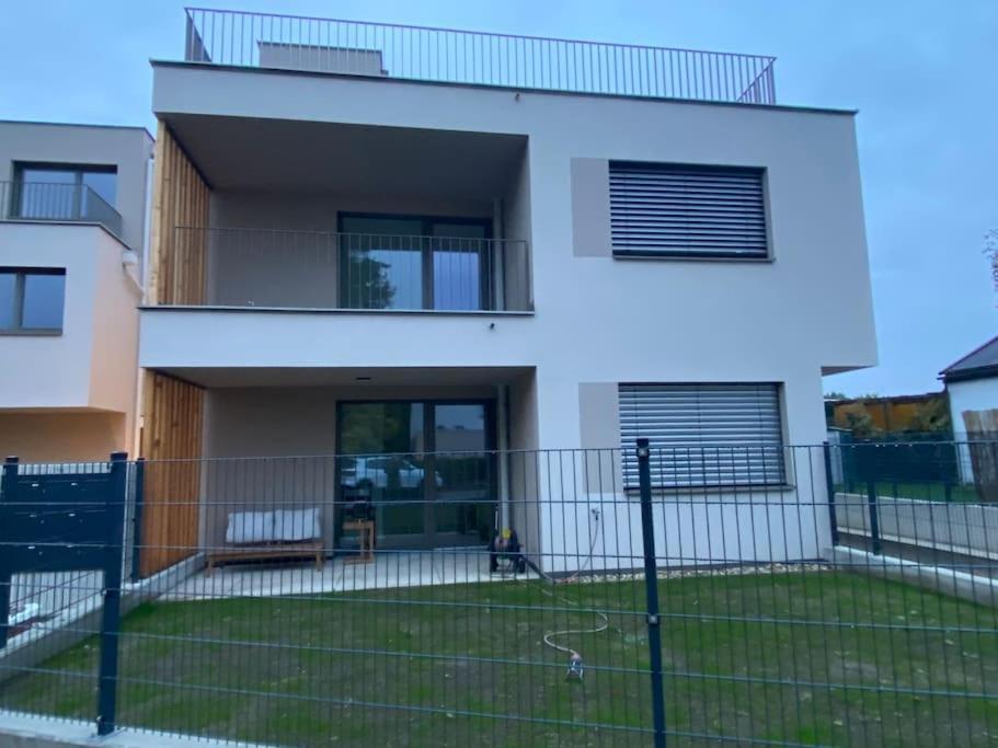 Modern Studio Gardenia_Gartenwohnung Alte Donau Viena Exterior foto